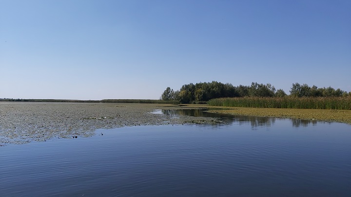 Közepes túra